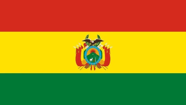 Bandera de Bolivia - Videos amateur caseros