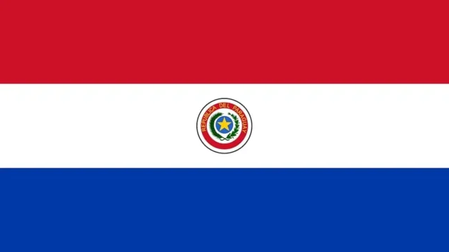 Bandera de Paraguay - Videos amateur caseros