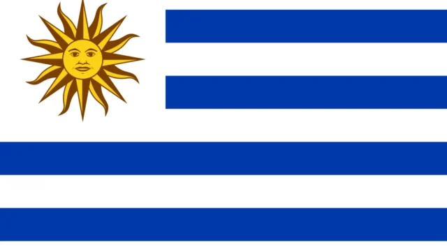 Bandera de Uruguay - Videos amateur caseros